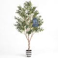 Olive Trees Artificial Indoor 7FT, Upgraded Tall Faux Olive Tree | White Tall Planter, Realistic Faux Olive Tree with Natural Wood Trunk and Lifelike Fruits, for Home/Office Decor Gift